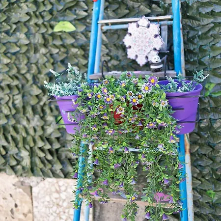 Апартаменты Giardino Magico Recintato *